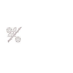 Langeland Kommune